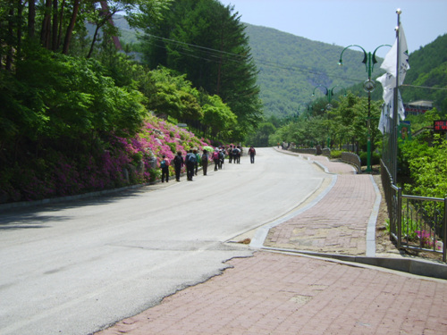 태백산 국립공원 사진7