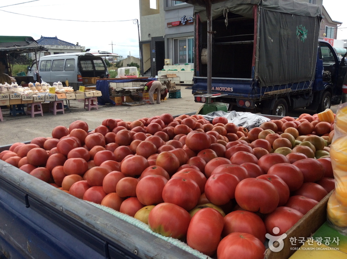Sehwa Fifth-day Market (세화민속오일시장(5일, 0일)