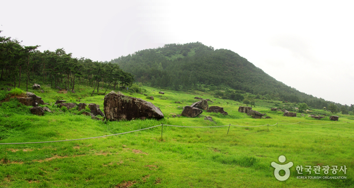 Gochang Dolmen Site [UNESCO World Heritage] (고창 고인돌군 [유네스코 세계문화유산])
