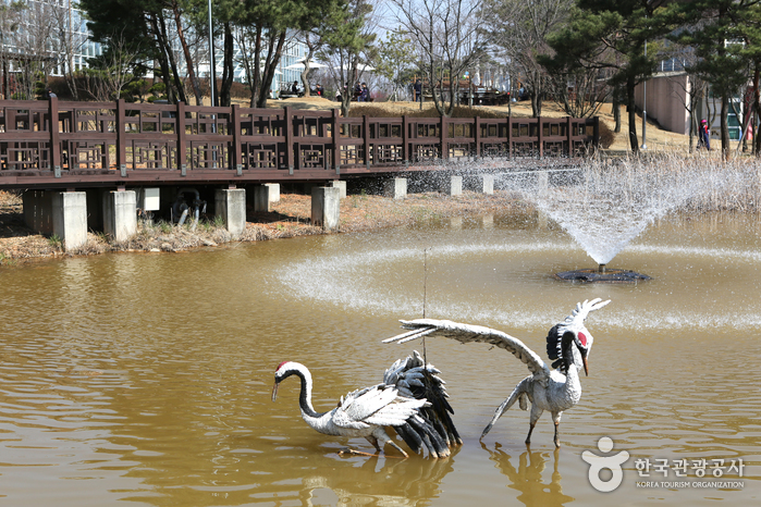 Hwaseong City Botanic Garden (화성시 우리꽃 식물원)