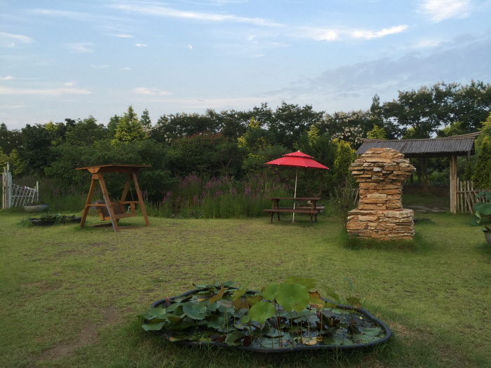 태안연꽃축제 20202