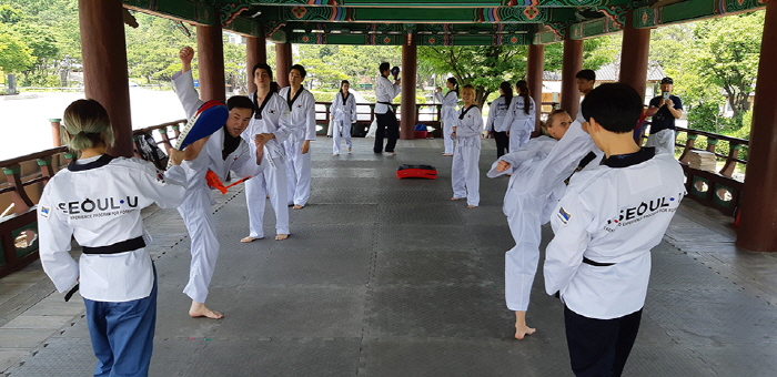 남산골 태권도 상설공연 20194
