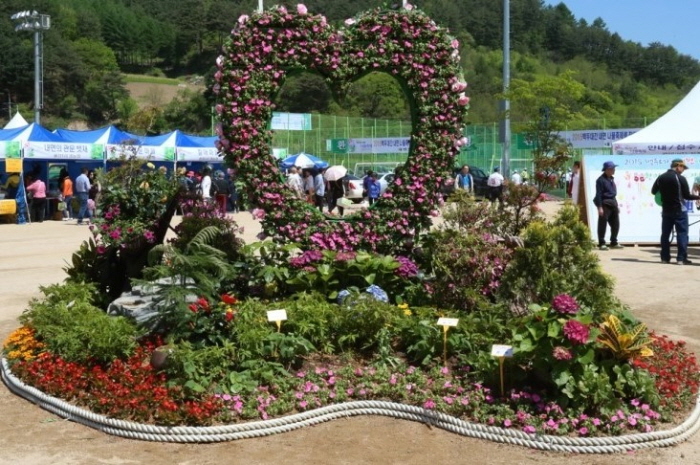 홍천 한우·산나물축제 2019