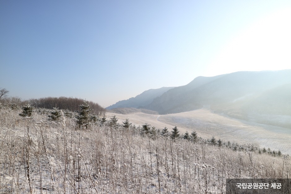 Национальный парк гор Одэсан (오대산국립공원)16