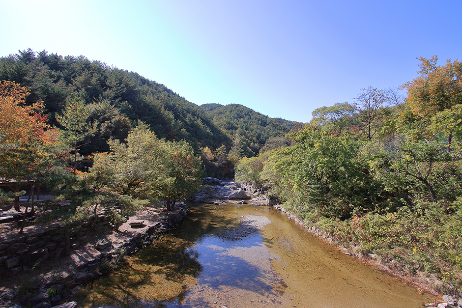 구수곡 자연휴양림야영장0