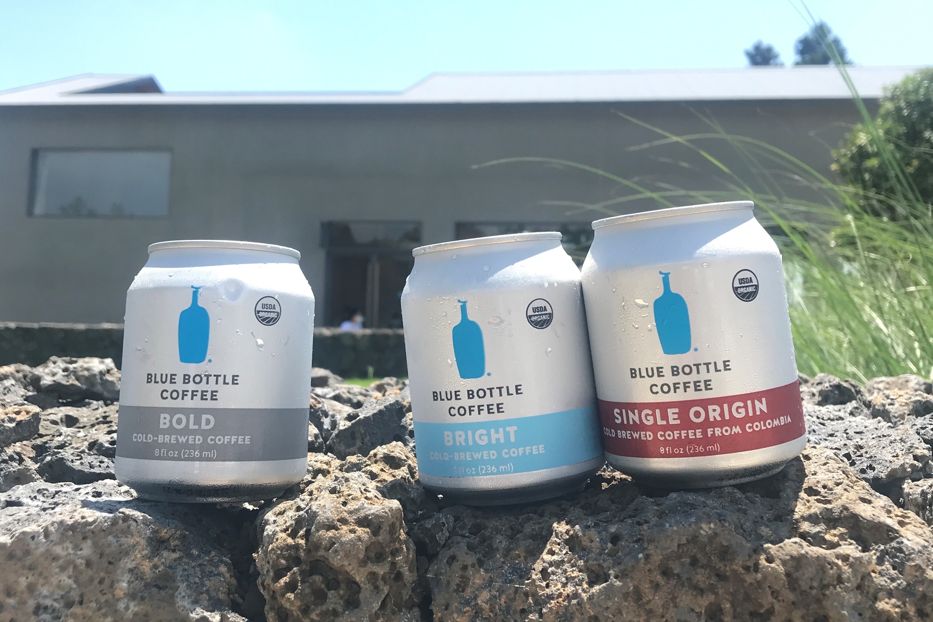 블루보틀 제주 카페2