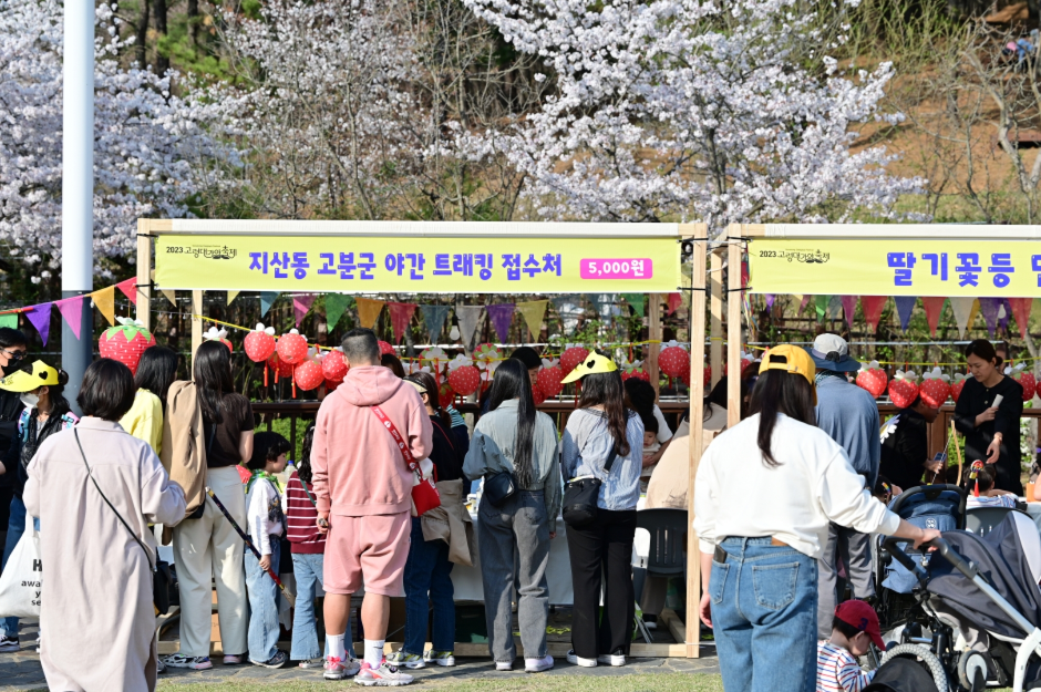 Festival de Daegaya en Goryeong (고령대가야축제)