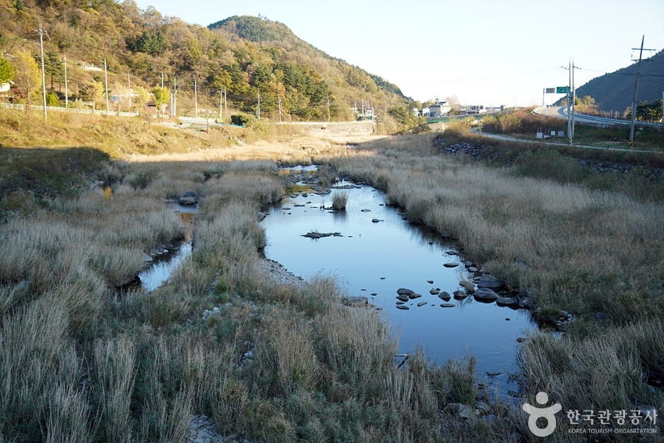 남대천(강릉)