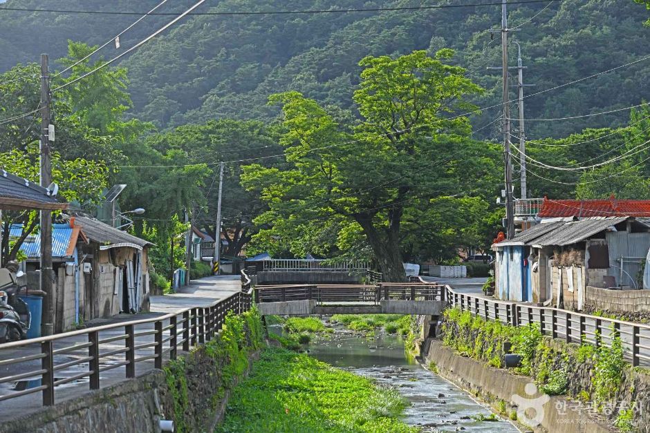 담양 도래수마을