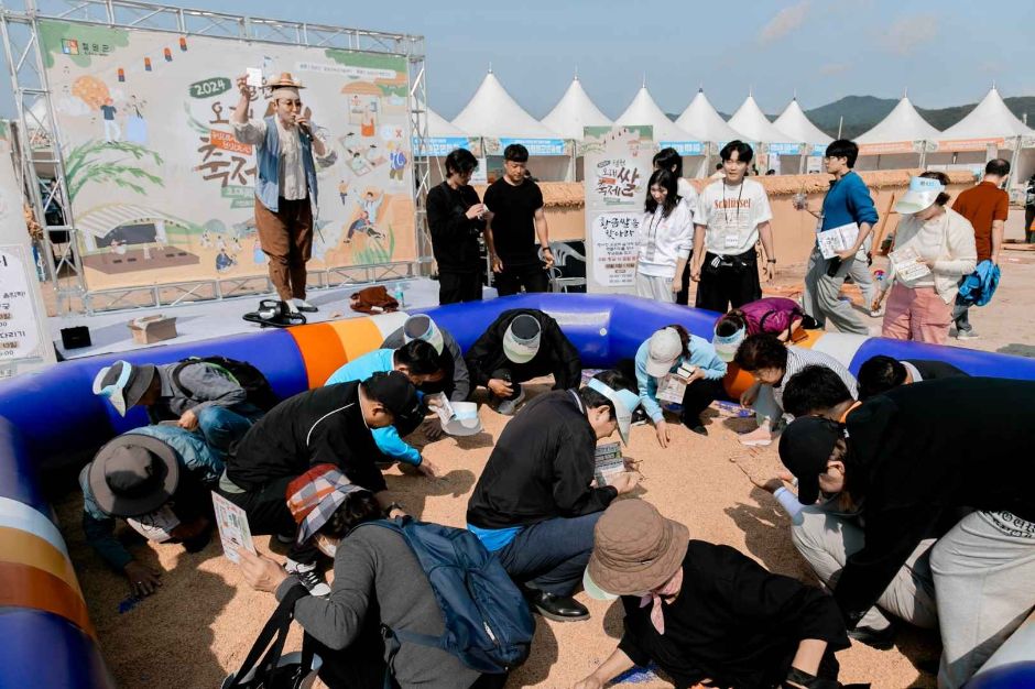 철원 오대쌀 축제