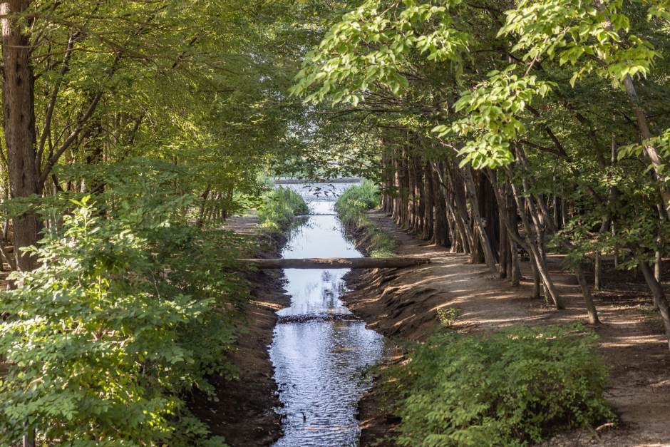 Gyeongbuk Millennium Forest Garden (경북천년숲정원)