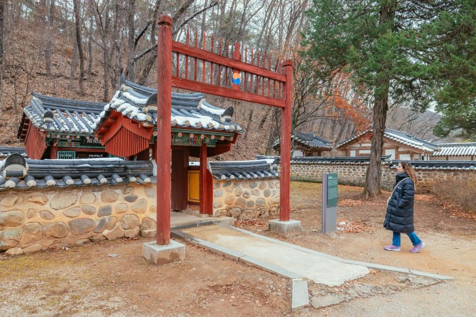 영월 겨울빛&불꽃축제