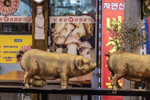 청주_서문풍물야시장 & 서문시장삼겹살거리 (7)