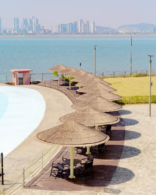 시흥배곧한울공원