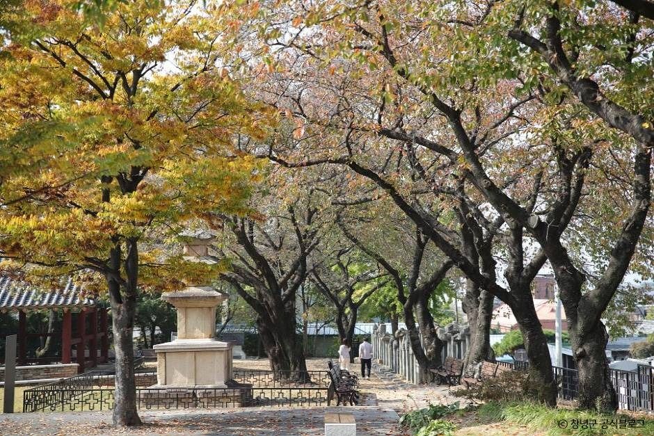 창녕 만옥정공원