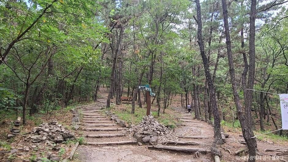 와룡산(대구)