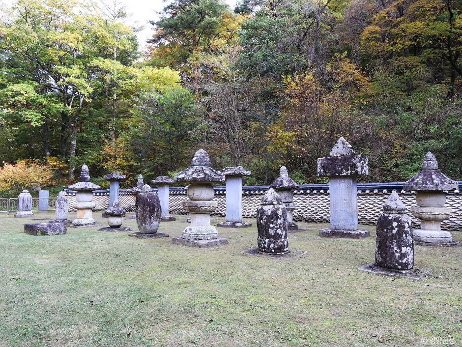 명주사부도군