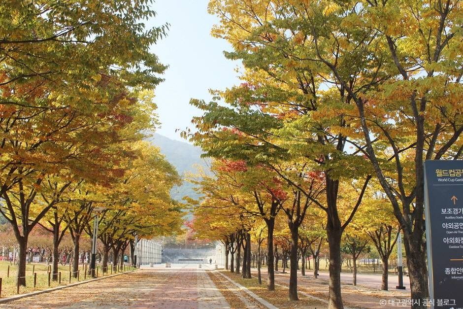 대구_대구스타디움 (1)