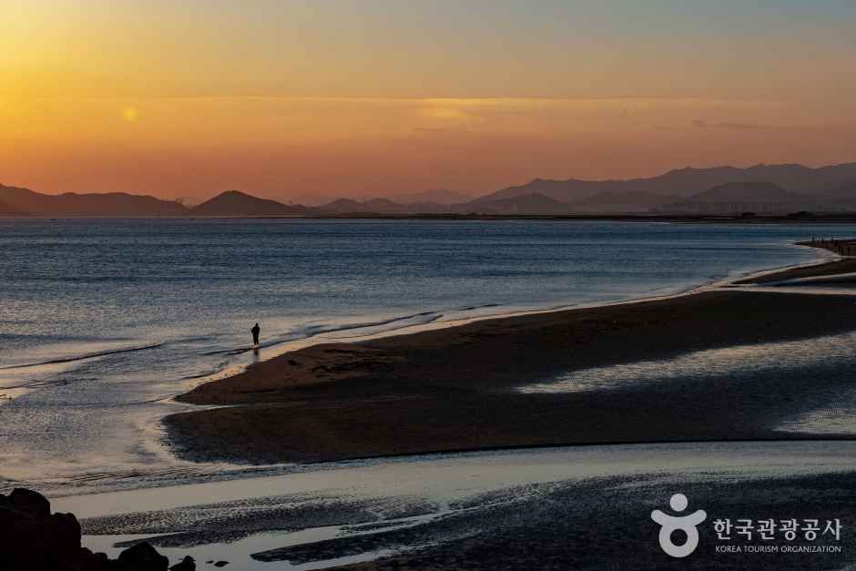 몰운대(부산)