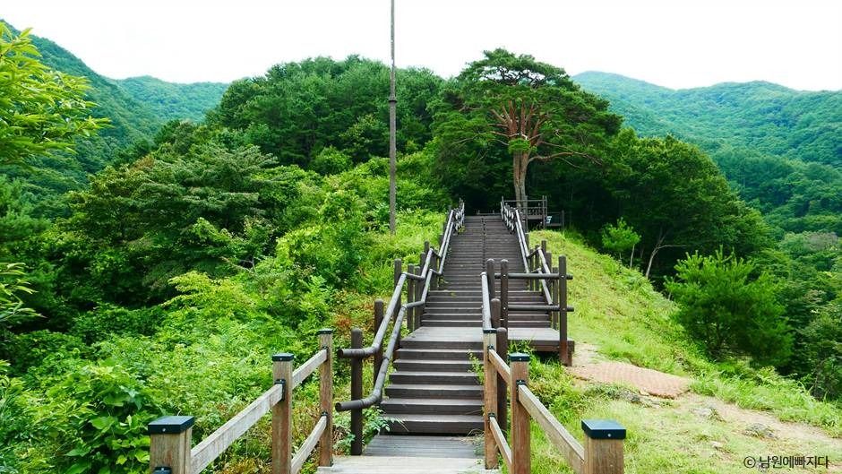 지리산 천년송