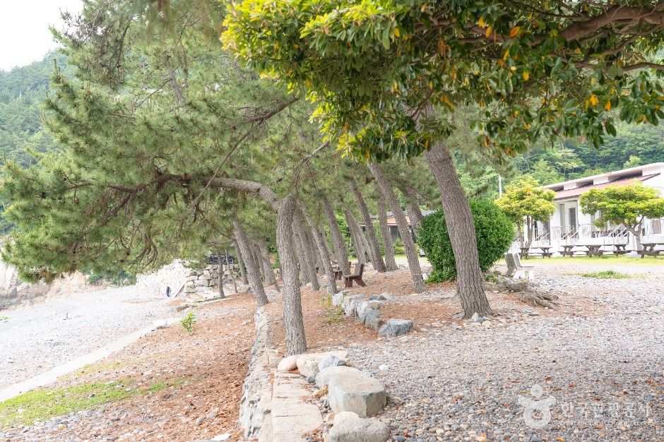 고흥_염포해수욕장 (4)