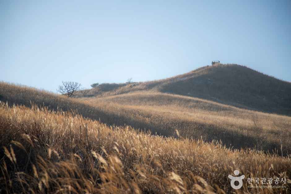 황매산 군립공원