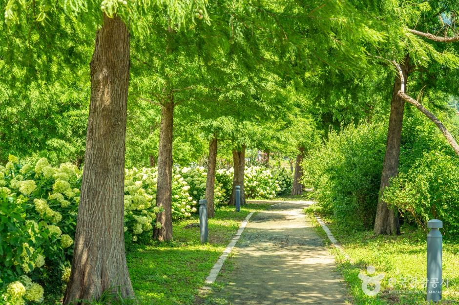 thumbnail-동정호-8