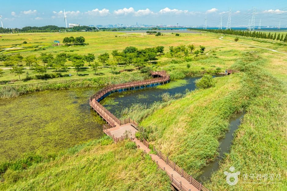 thumbnail-대부바다향기테마파크-8