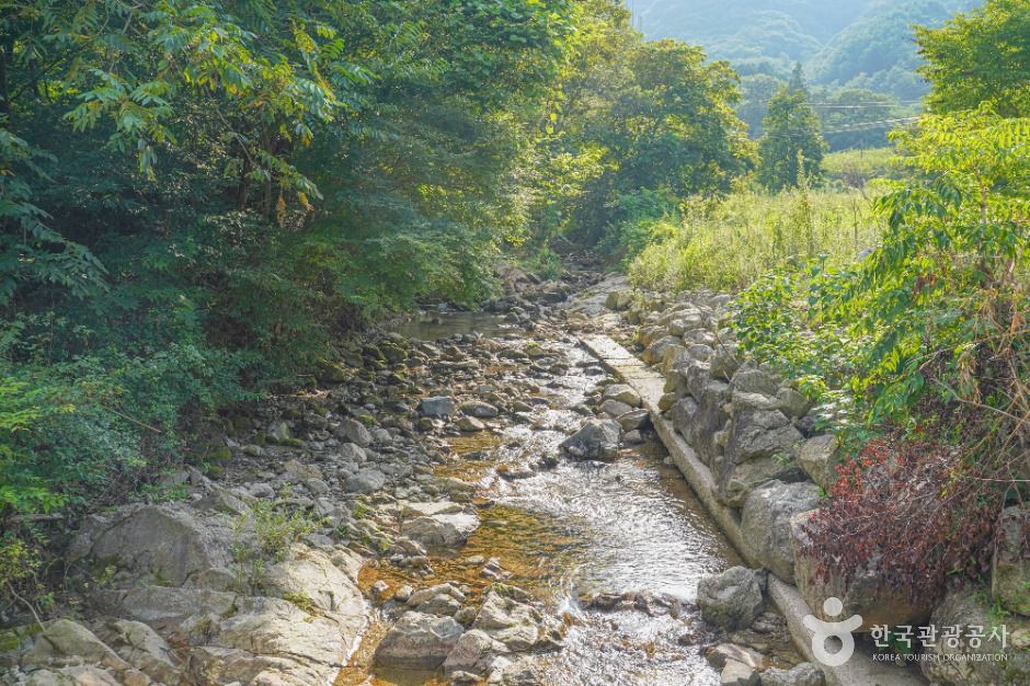용흥사계곡