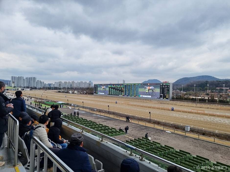 과천_렛츠런파크 서울 (3)