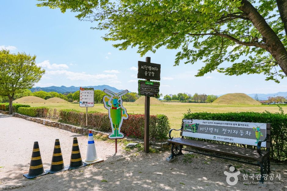 경주 비단벌레 전동차