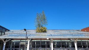 순천_순천 기적의도서관 (6)