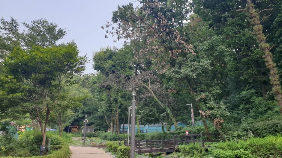 서울_강동그린웨이 가족캠핑장 (8)