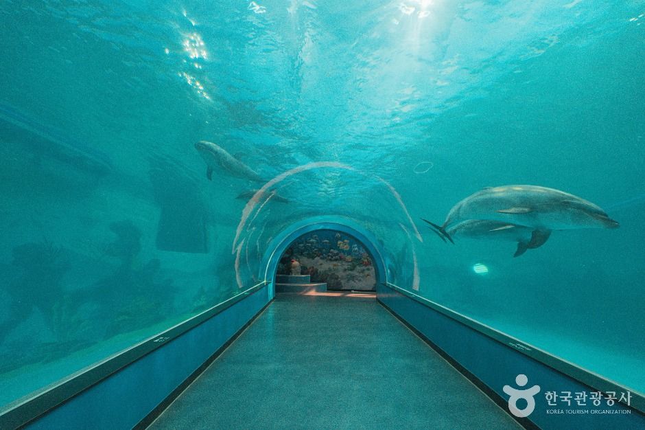 장생포 고래생태체험관