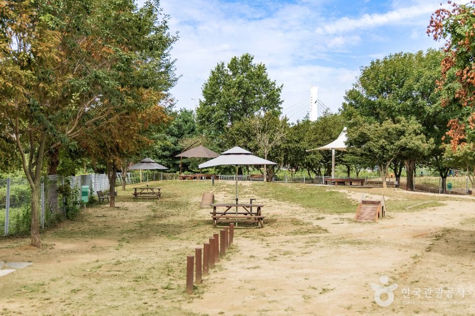 기흥레스피아호수공원 반려동물놀이터