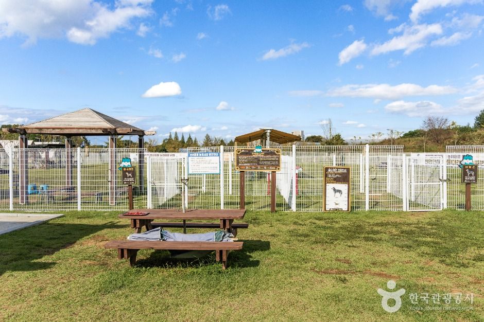 익산_다송무지개매화마을 (5)