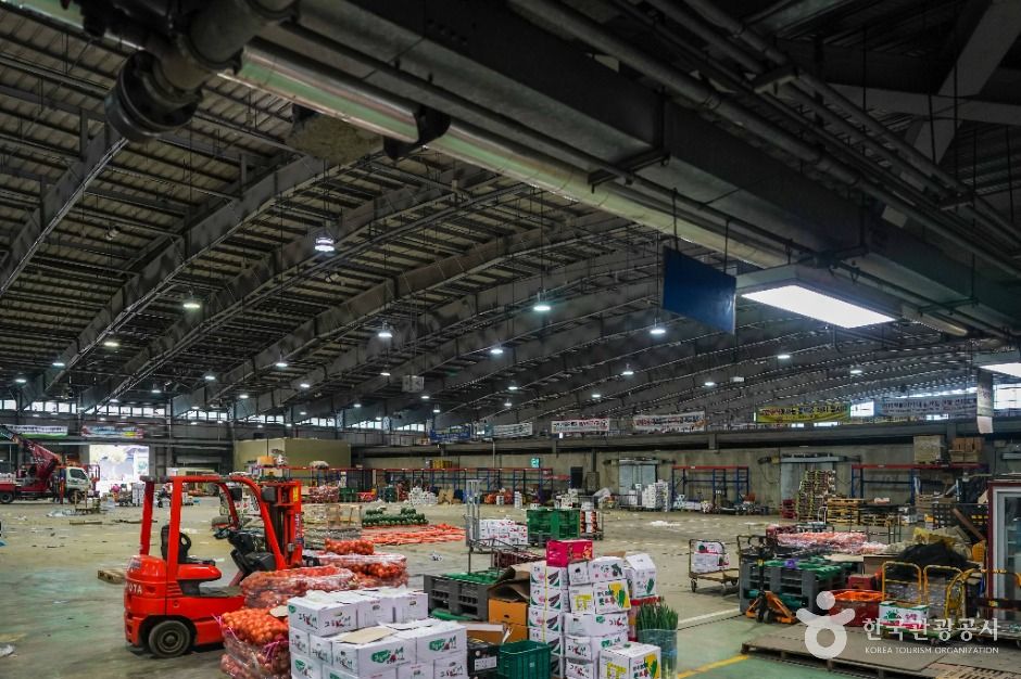 창원_창원시내서농산물도매시장 (2)