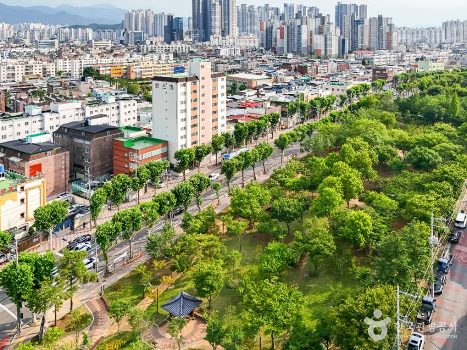 thumbnail-서구 그린웨이-14