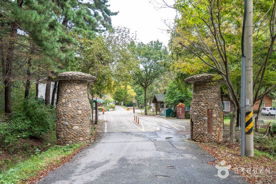 국립 희리산해송자연휴양림