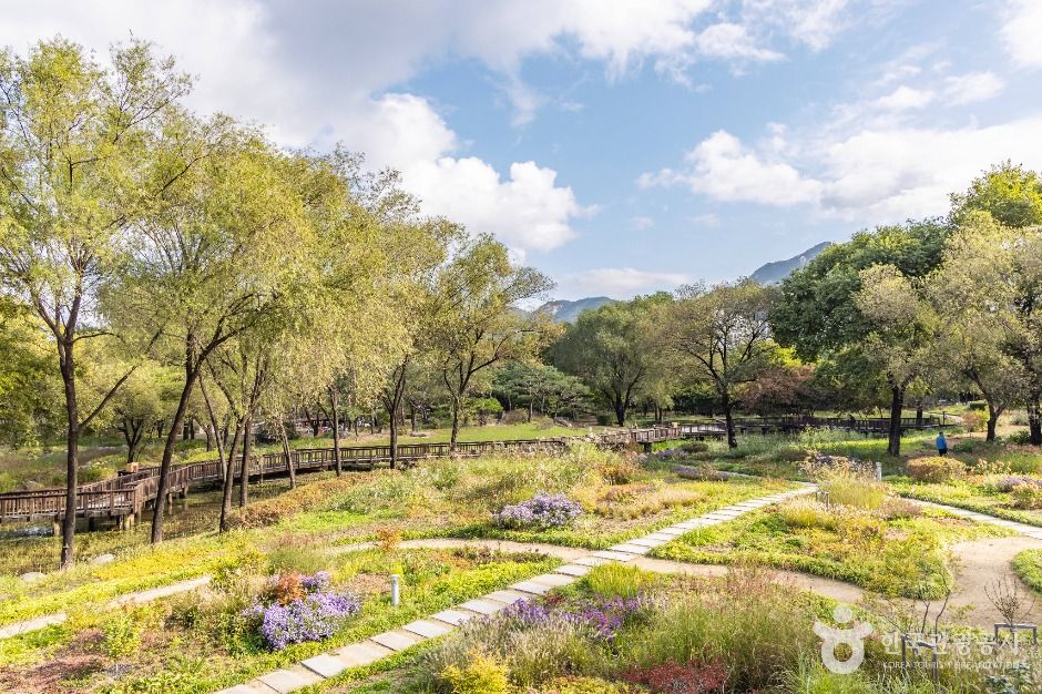 서울_서울창포원 (21)