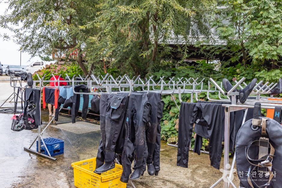 울릉아쿠아캠프