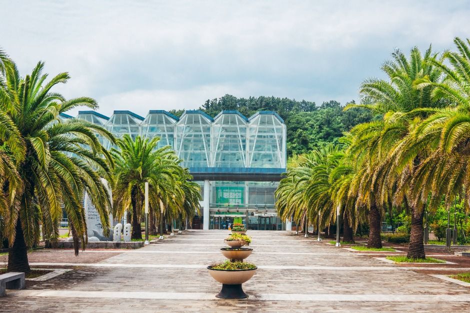 서귀포_제주국제평화센터 (2)