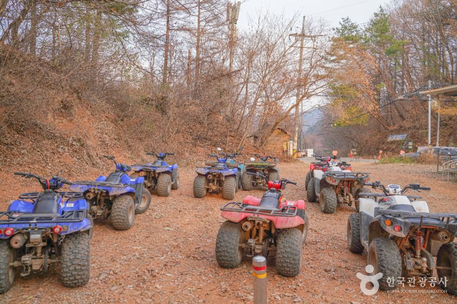 엑스라이프(X-LIFE)