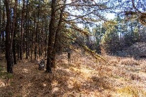 합천_내천못재 (5)