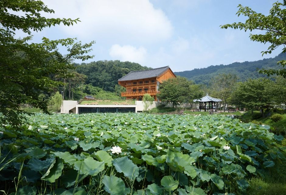 청주_인문아카이브 양림 앤 카페 후마니타스 (7)