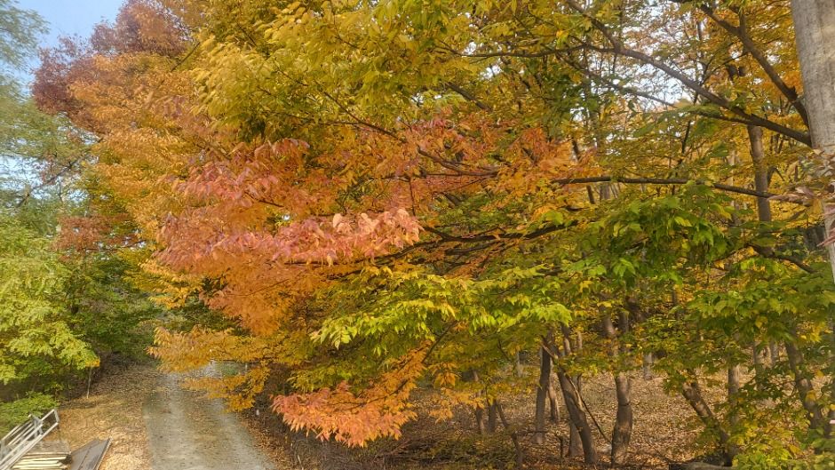 천안_남창낚시터 (4)