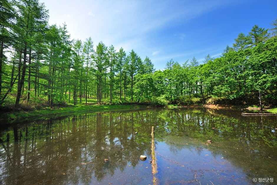 thumbnail-도롱이연못-1