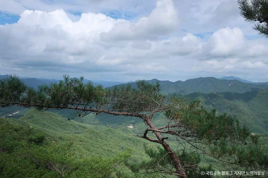 thumbnail-도명산-2