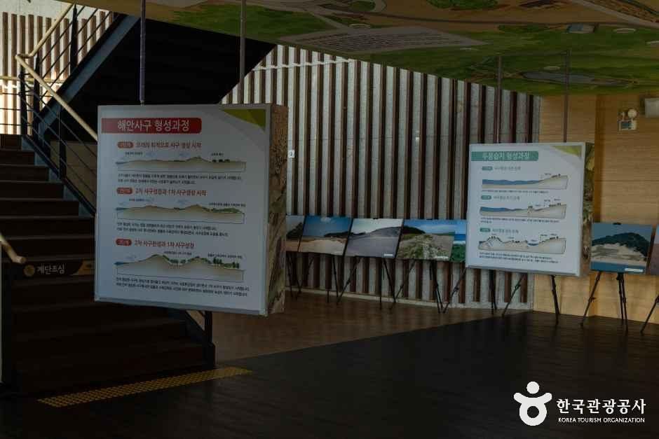 thumbnail-신두리사구센터-3