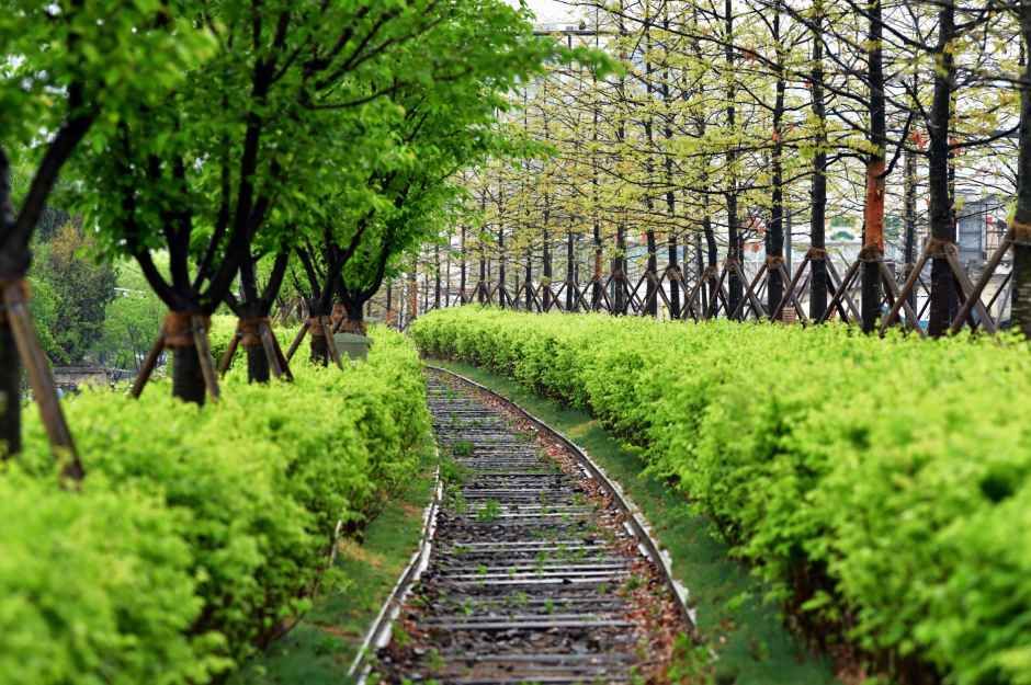 thumbnail-치악산 바람길숲-7